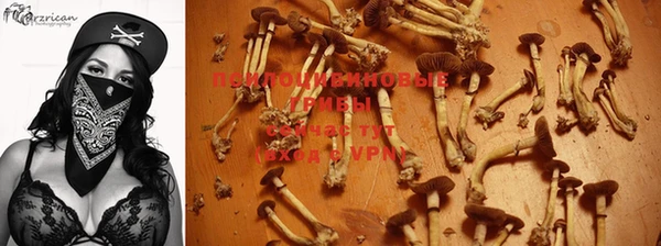 jwh Костерёво
