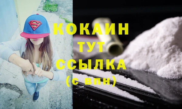 дживик Шадринск