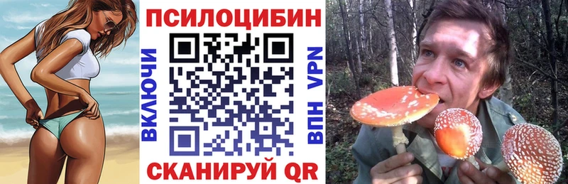 Купить закладки  Ленск  Псилоцибиновые грибы GOLDEN TEACHER 